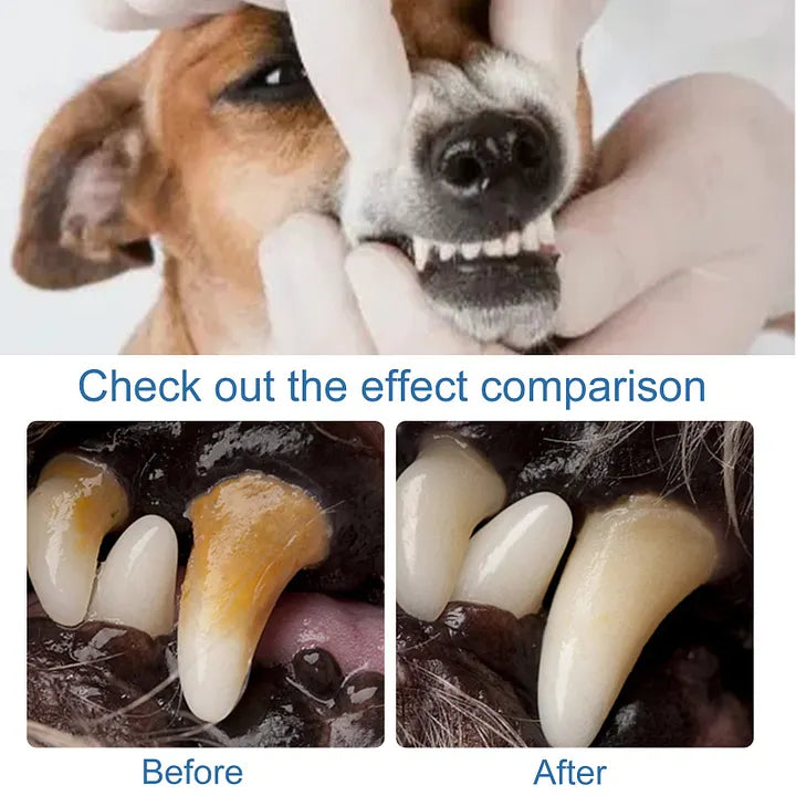 Pet Dental Tartar Care Spray