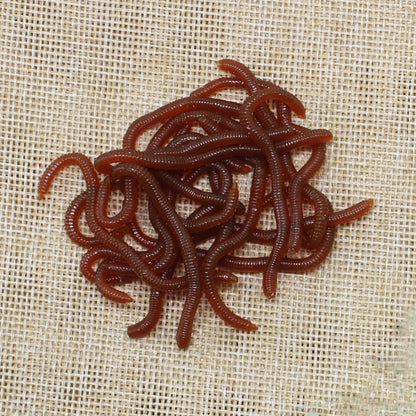 Simulation Earthworm Soft Fishing Lures Shrimp Scented Artificial Worm Baits for Freshwater and Saltwater Pack of 50 or 100