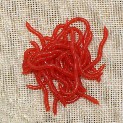 Simulation Earthworm Soft Fishing Lures Shrimp Scented Artificial Worm Baits for Freshwater and Saltwater Pack of 50 or 100